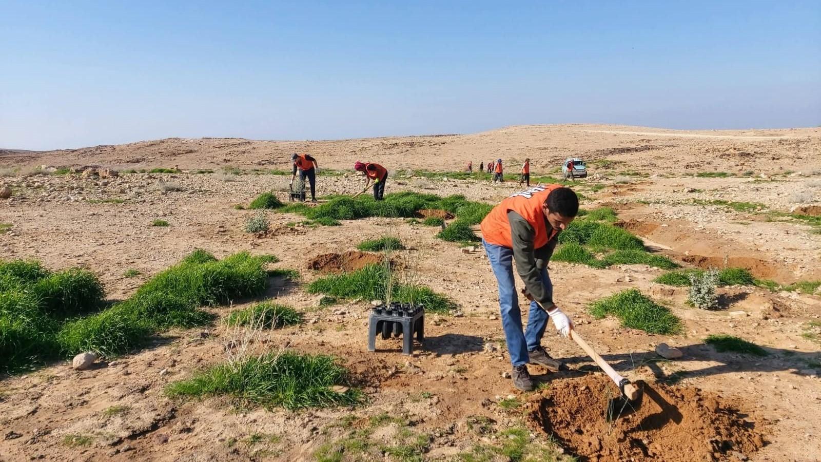 بلديات تواصل حملات التشجير لتعزيز الرقعة الخضراء في المملكة