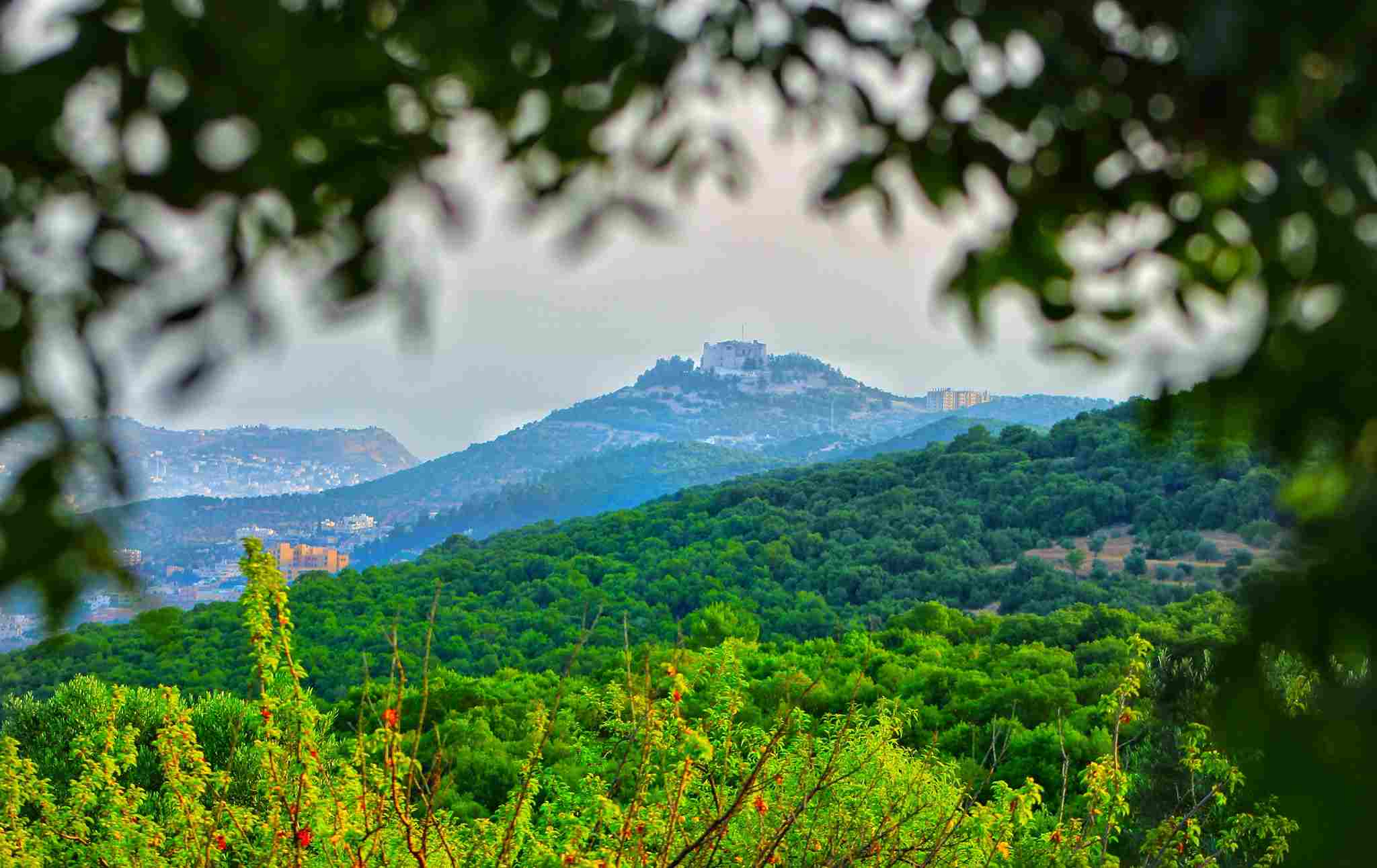 عجلون: دعوات لمعالجة البيوت المهجورة واستثمارها سياحياً وتراثياً