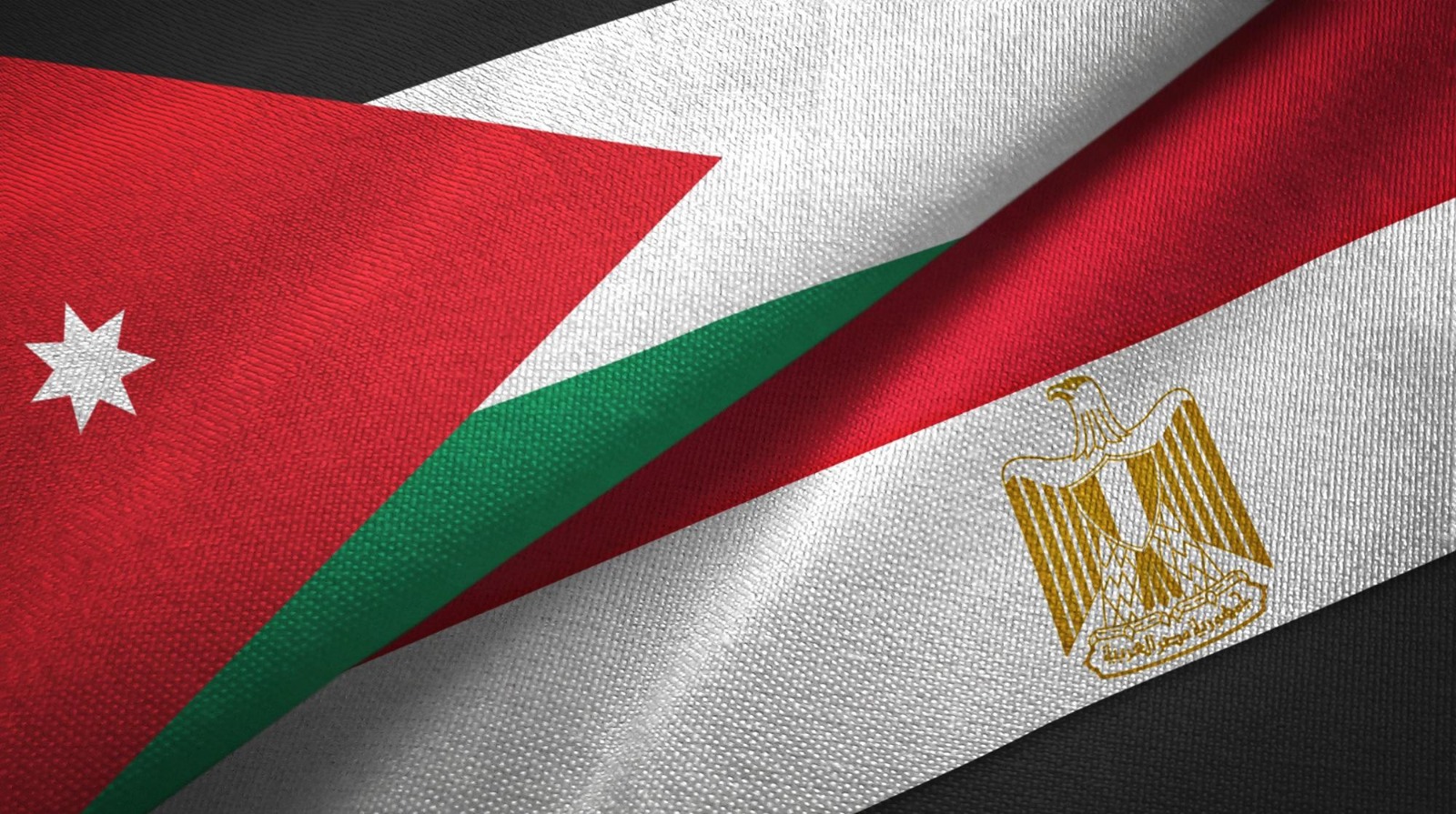 المومني: مصر والأردن ركيزة للاستقرار الإقليمي