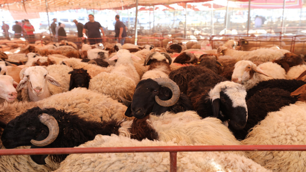 مطالب بإنشاء سوق للحلال في جرش