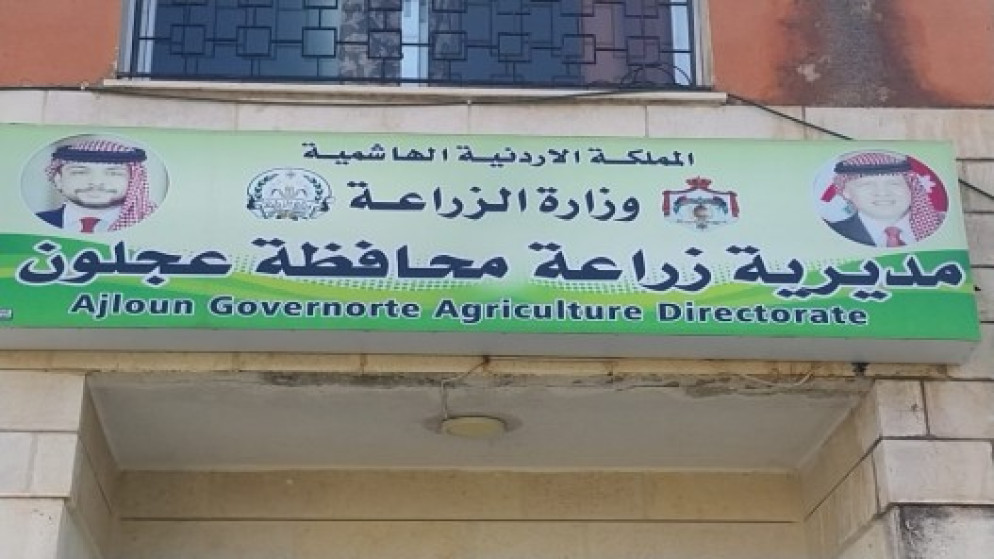 المباشرة بمكافحة حشرة النمل الأبيض في راجب