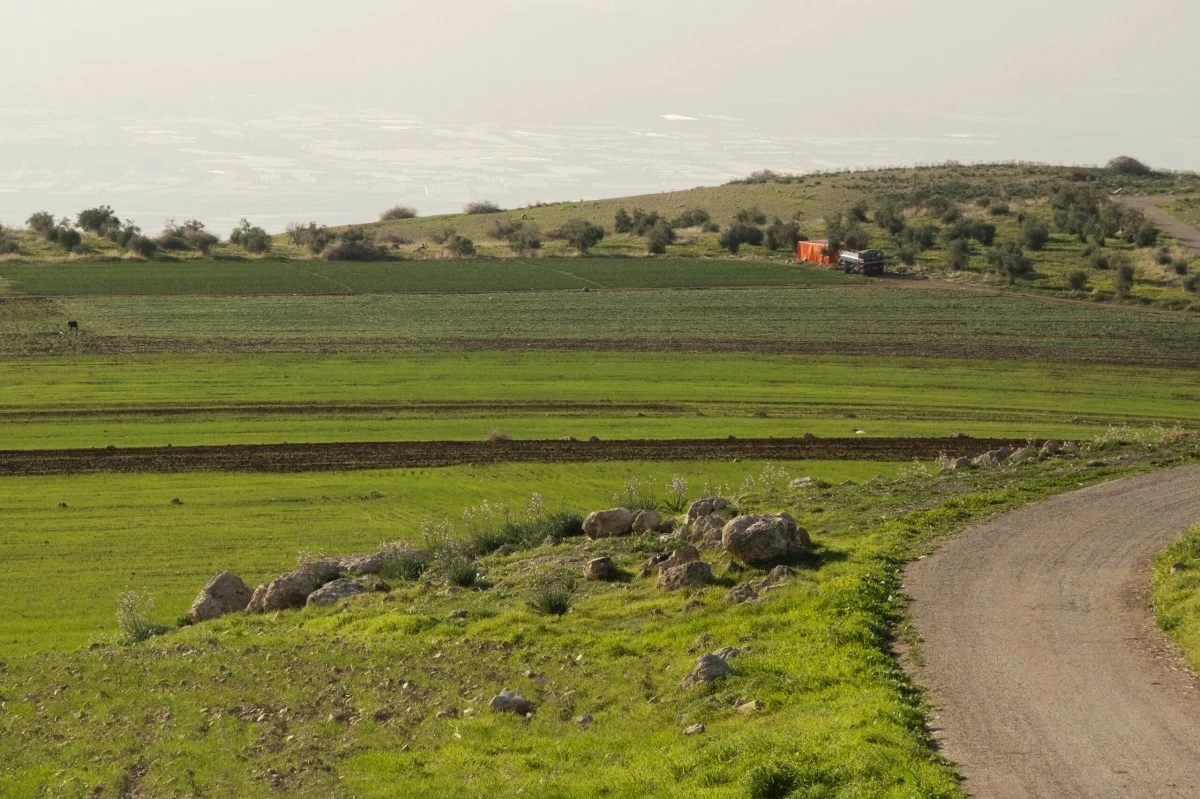 وزارة الزراعة: الأمطار الأخيرة تبشر بموسم زراعي واعد