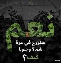 حملة العربية لحماية الطبيعة لإحياء مزارع غزة