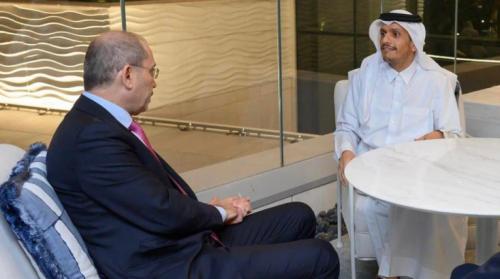 وزير الخارجية ونظيره القطري يحذران من أي هجوم على رفح
