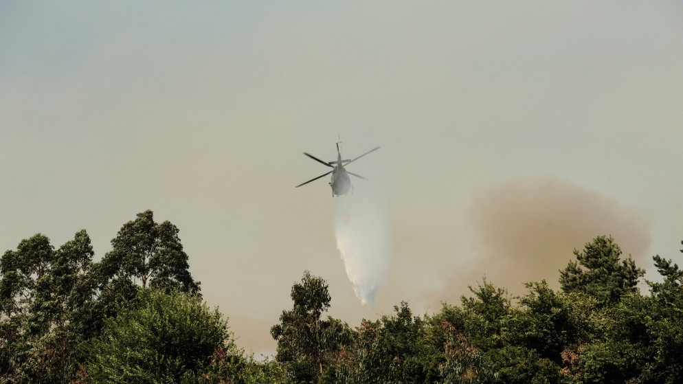 19 قتيلا جراء الحرائق في تشيلي وحظر التجول في المناطق المتضررة