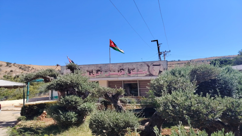 مشتل فيصل الزراعي ينجح بإنبات الفستق الحلبي الهجين