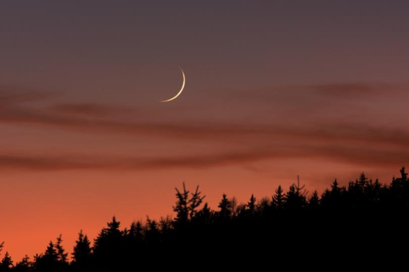 مفتي المملكة: الثلاثاء أول أيام شهر شعبان