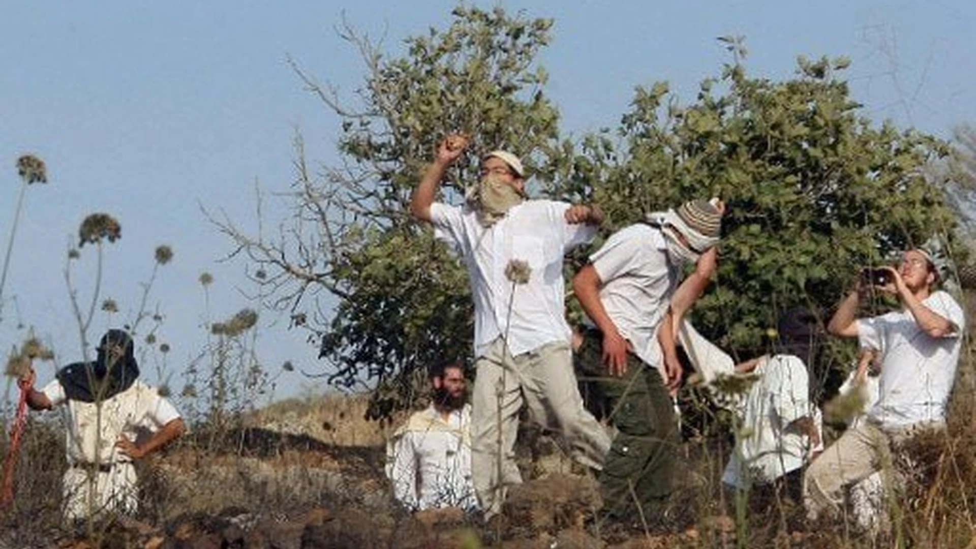 المستوطنون ينفذون 34 أعتداءً ضد المزارعين الفلسطينيين بالضفة الغربية