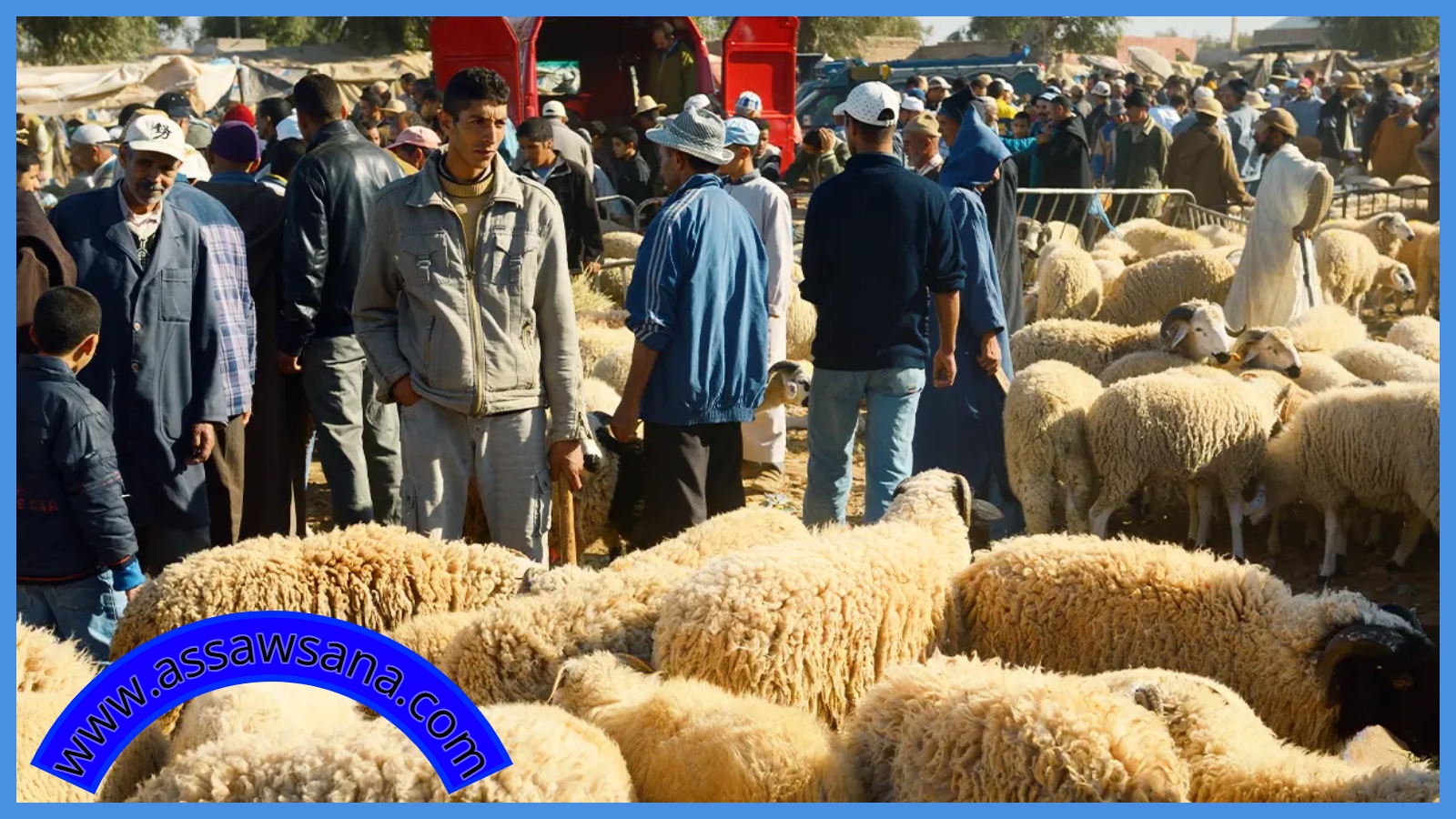 هل يجوز ذبح الأضاحي بالشوارع والساحات العامة؟ الإفتاء يجيب