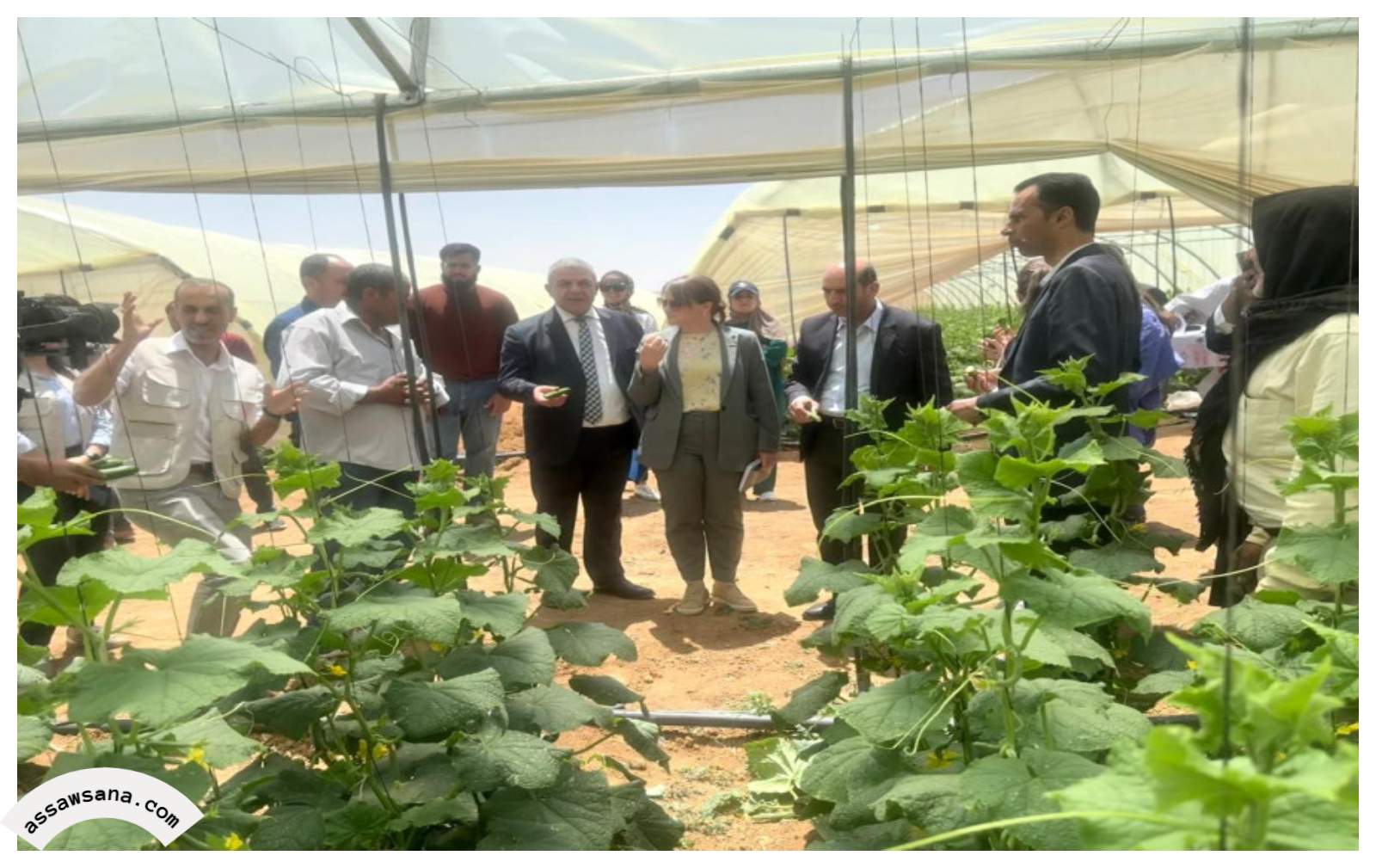 مشروع زراعي يدعم أردنيين وسوريين بمأدبا