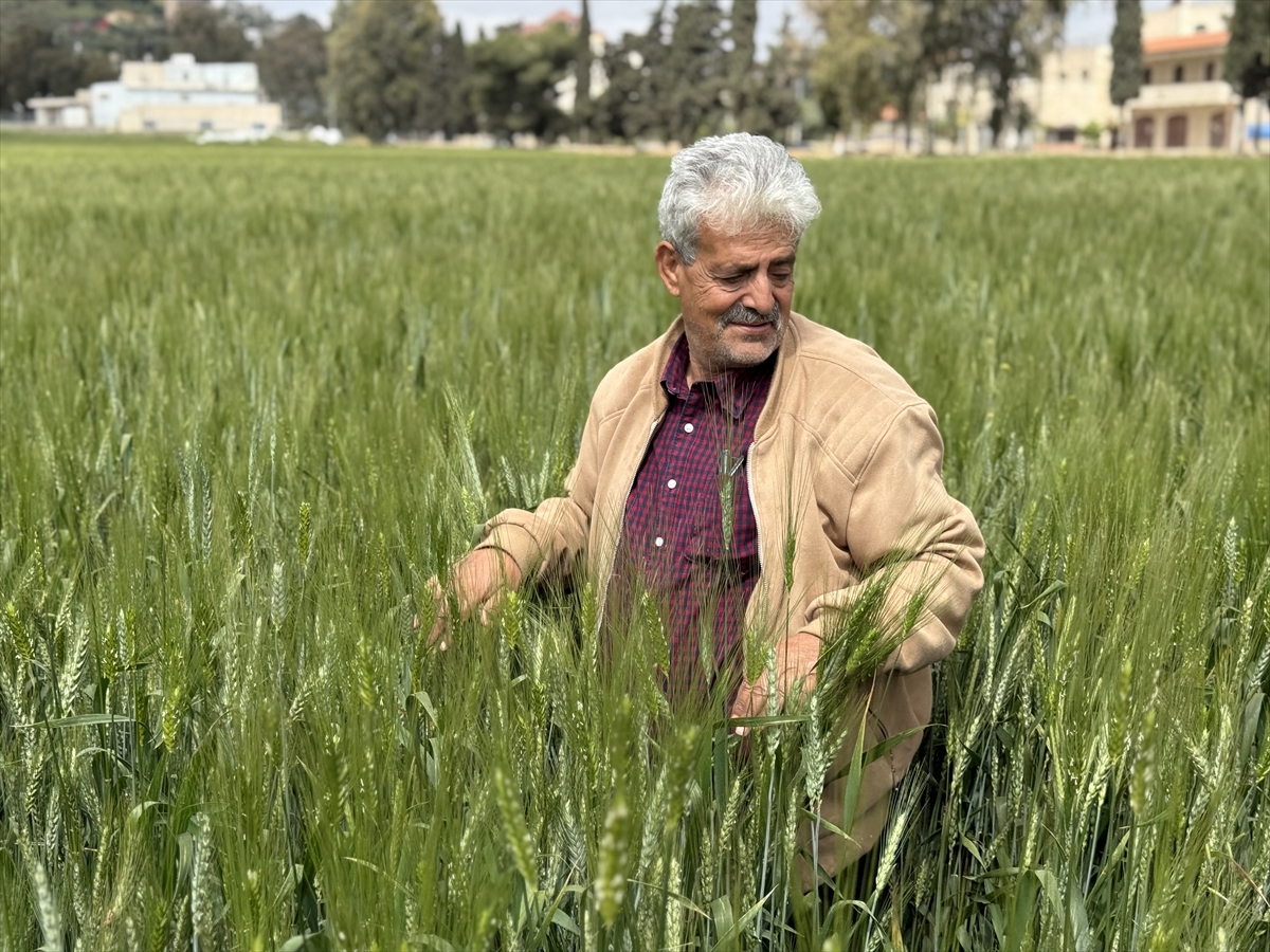 مغترب فلسطيني عاد ليقاوم التجريف والمستوطنين  ..  صور