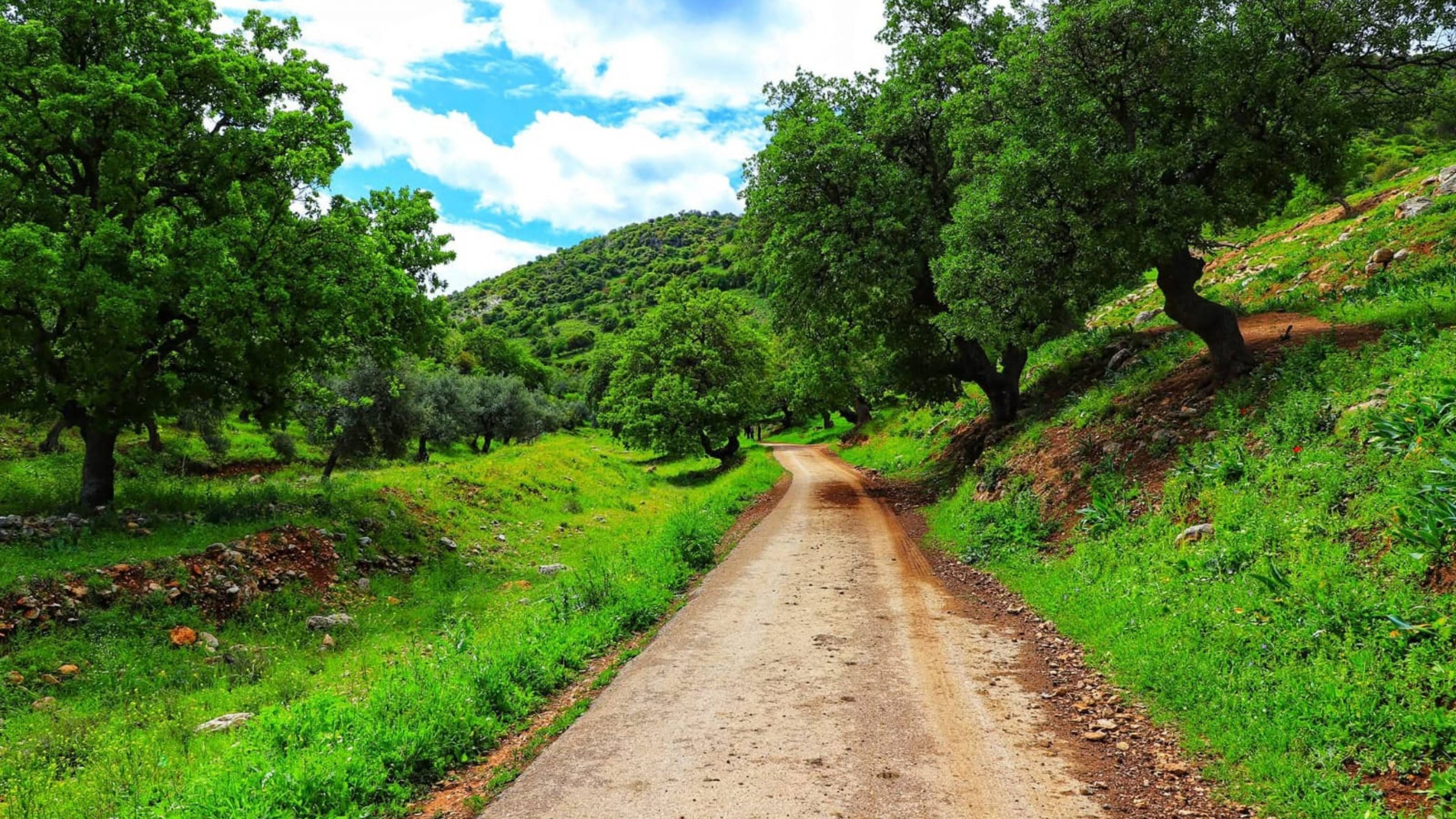 المسارات السياحية بعجلون رافعة للتنمية والمشاريع المحلية