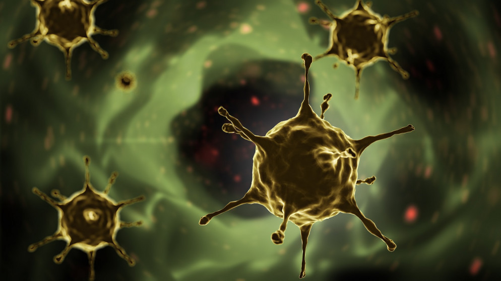 الولايات المتحدة تعزز إجراءاتها الصحية بعد إصابة أميركي بفيروس إيبولا