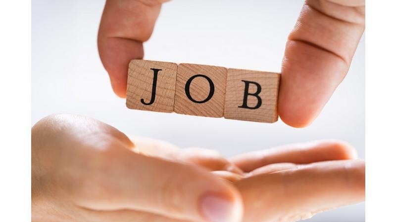 وظائف حكومية شاغرة ..  تفاصيل