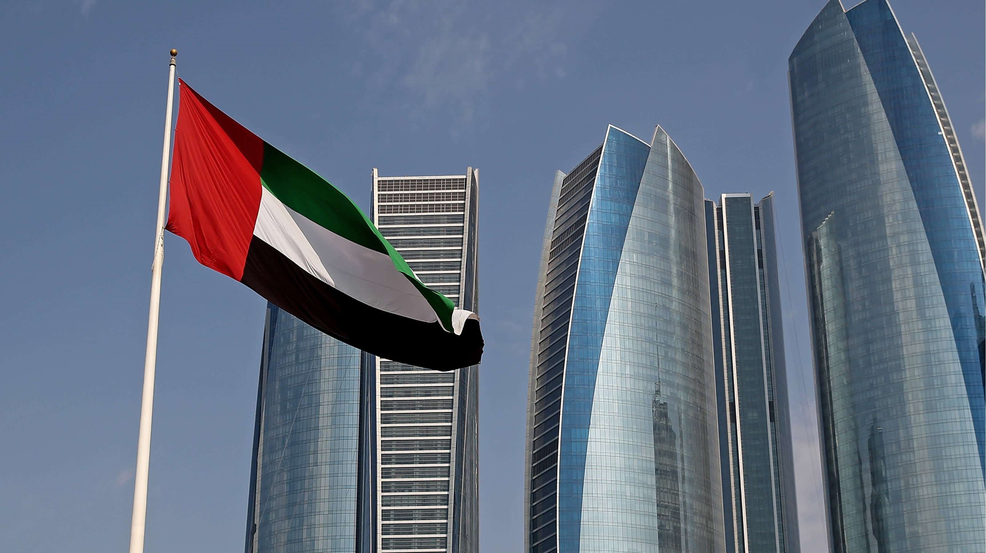 الإمارات: 100 طن مساعدات إلى غزة