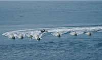 إنقاذ شخصين غرقا في البحر الميت