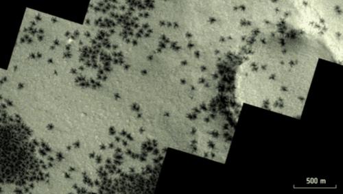 مركبة فضائية تلتقط صورًا لعناكب على سطح المريخ
