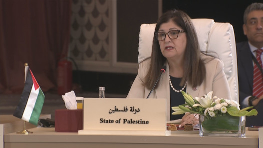 فارسين شاهين: القدس تحتاج إلى خطة إنقاذ جماعية