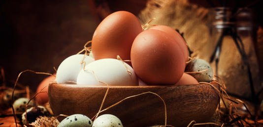  الفرق بين البيض البني والأبيض: الحقيقة الكاملة