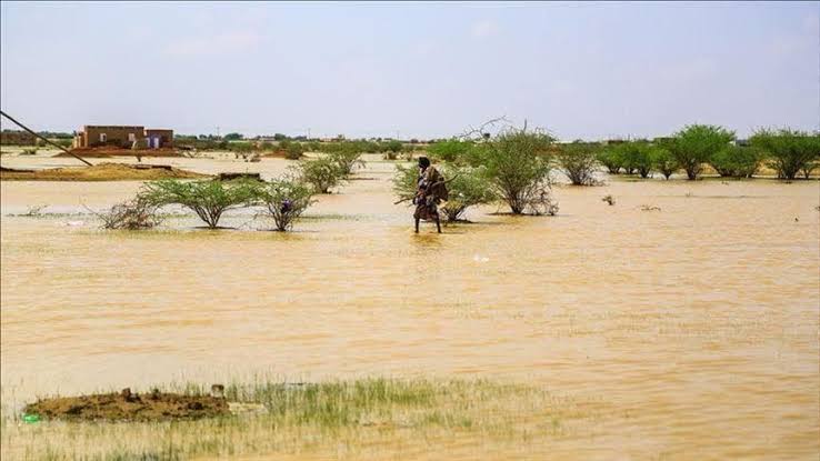 موريتانيا ..  وفاة 6 أطفال غرقا خلال يومين جراء الأمطار الموسمية