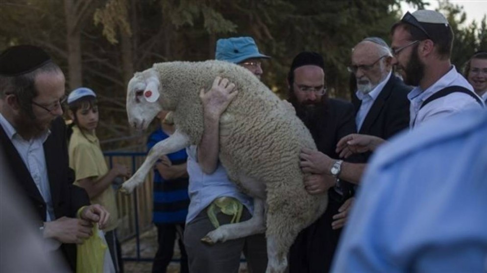 تحذير من محاولات إدخال القرابين إلى المسجد الأقصى