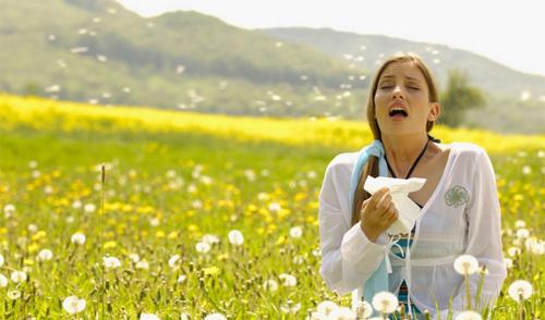 حساسية الربيع: الأسباب والأعراض والعلاج