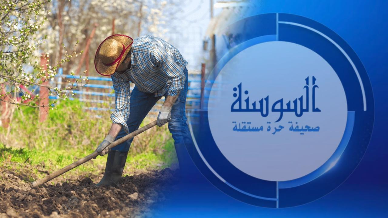 مواطن دنماركي يعثر على كنر كبير في حديقة بيته ..  تفاصيل 