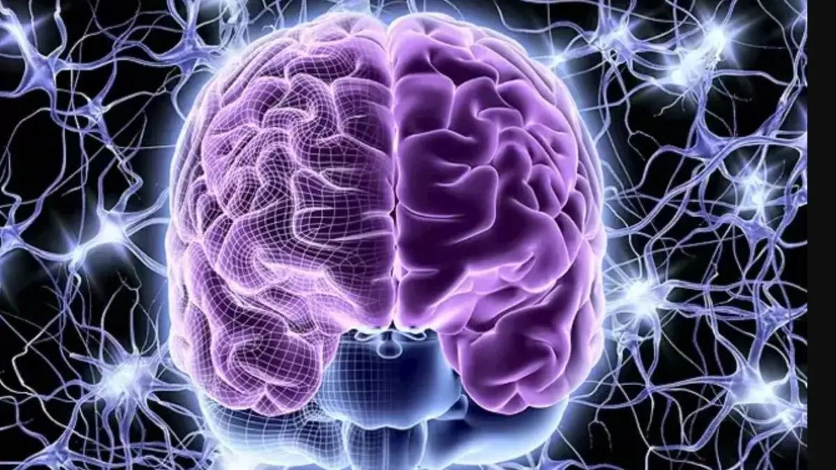 الحرارة المرتفعة تهدد صحة الدماغ
