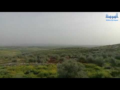 الربيع في شمال الاردن