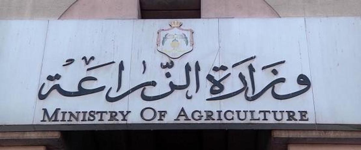 وزارة الزراعة تعلن عن نحو 50 وظيفة ..  تفاصيل