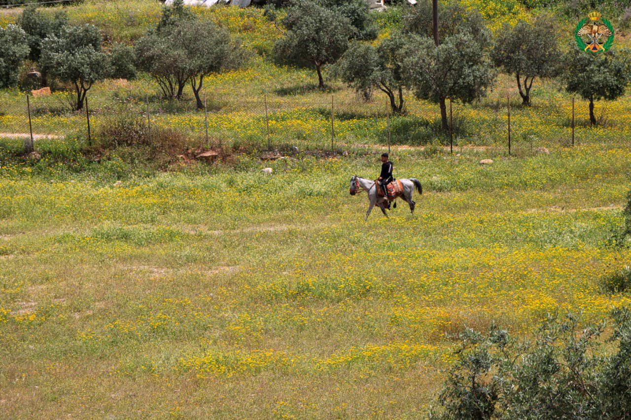 الأمن العام: عطلة آمنة ومسؤولية بيئية  ..  فيديو