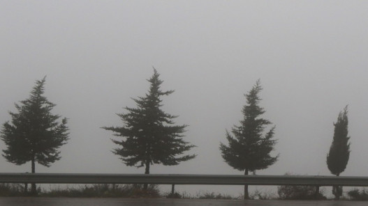 تطورات حالة الطقس: أمطار غزيرة وضباب كثيف وتحذيرات من السيول وتدني الرؤية