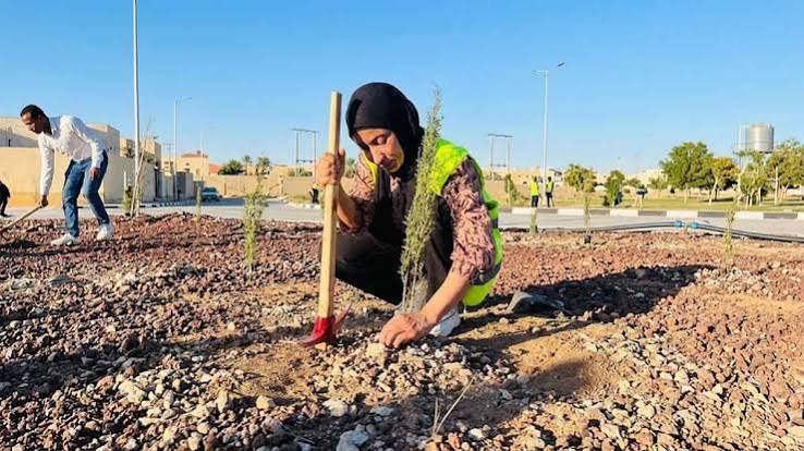 من هي نبيلة الحشوش؟ القصة الكاملة من مزارع الأغوار إلى التوقيف