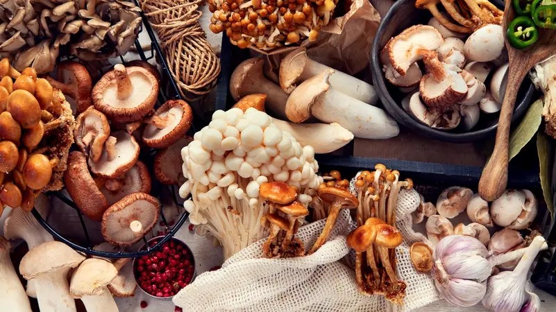 5 أطعمة نباتية تعزز فيتامين D دون مكملات