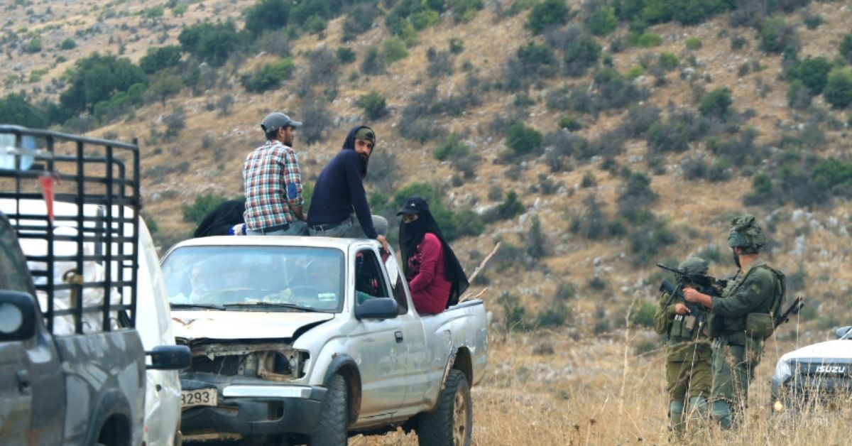 قطاف الزيتون في لبنان والضفة ..  صمود مزارعين في مواجهة الاعتداءات الإسرائيلية