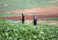 تأمين احتياجات المزارعين من المياه بوادي الأردن