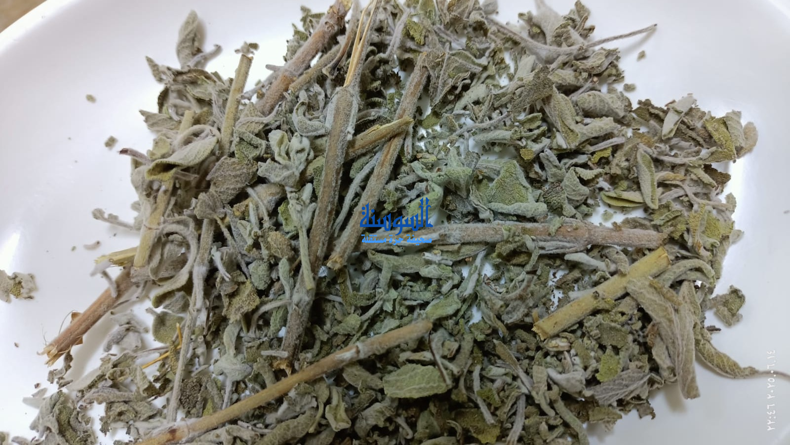 نبات عشبة الميرمية