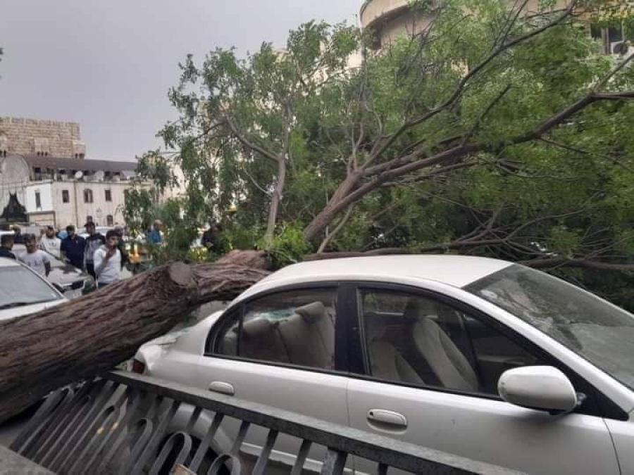 سقوط شجرة على سيارة وسط دمشق بسبب عاصفة مطرية وغبارية