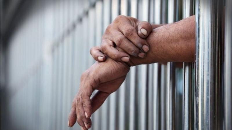حبس وغرامة تصل إلى  20 ألف دينار لمرتكب هذه المخالفة