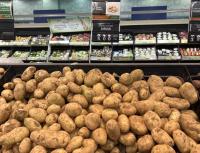 قطر تبدأ باستيراد البطاطا من الأردن بكميات كبيرة
