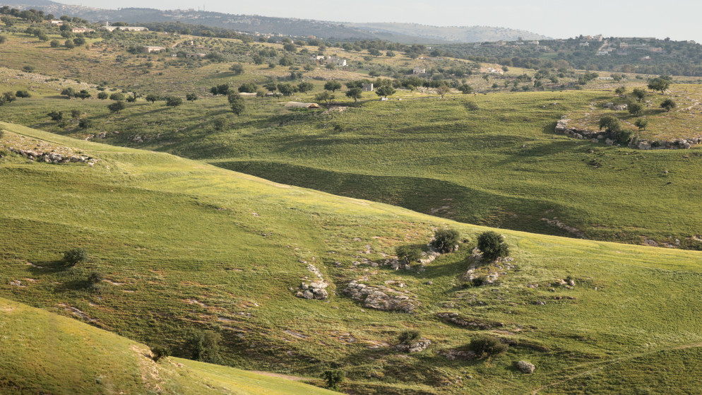 تفاصيل الحالة الجوية في المملكة