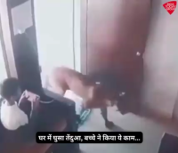 بالفيديو .. طفل ينجو بأعجوبة من نمر اقتحم منزله