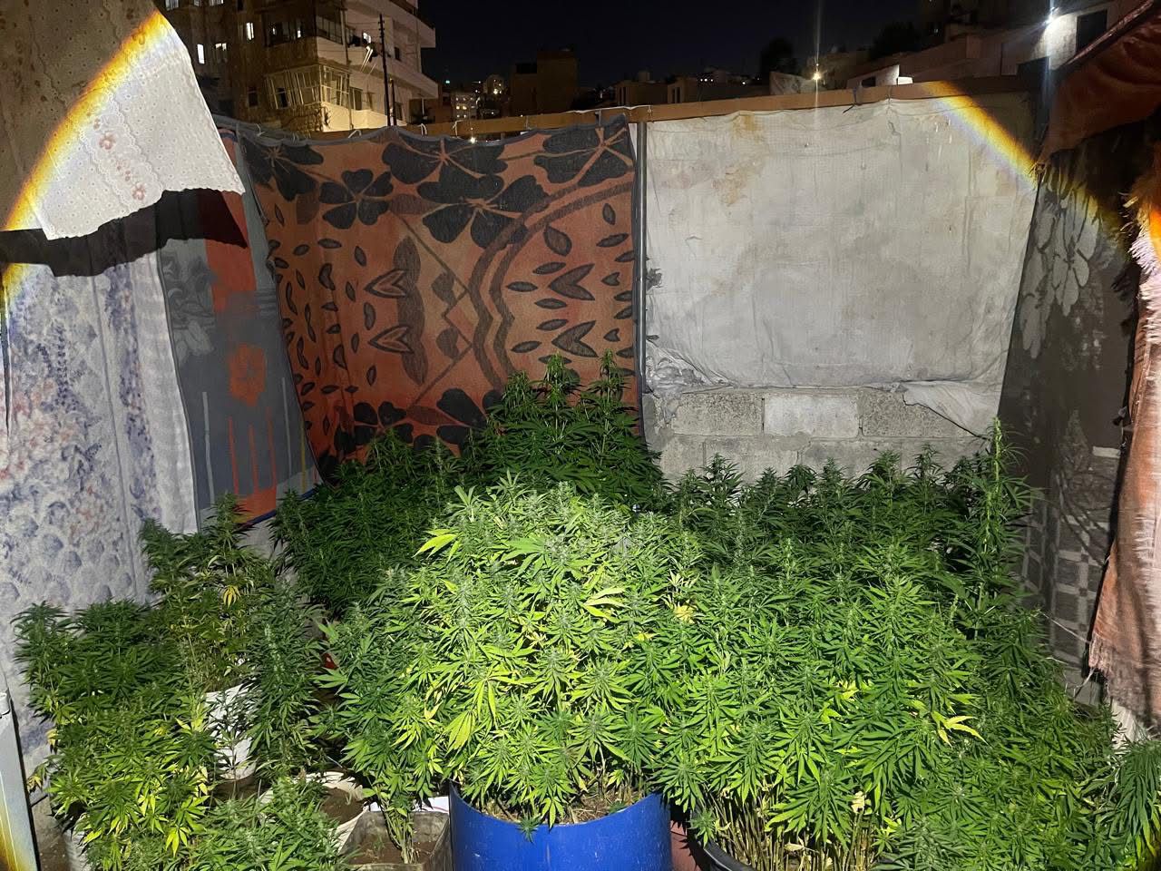 مكافحة المخدرات تحبط تهريب كوكايين وحبوب مخدرة وتقبض على مصنف خطير
