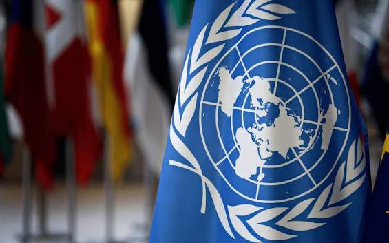 الأمم المتحدة تعين إيزابيل ميرسييه في منصب أممي لمدة 5 سنوات