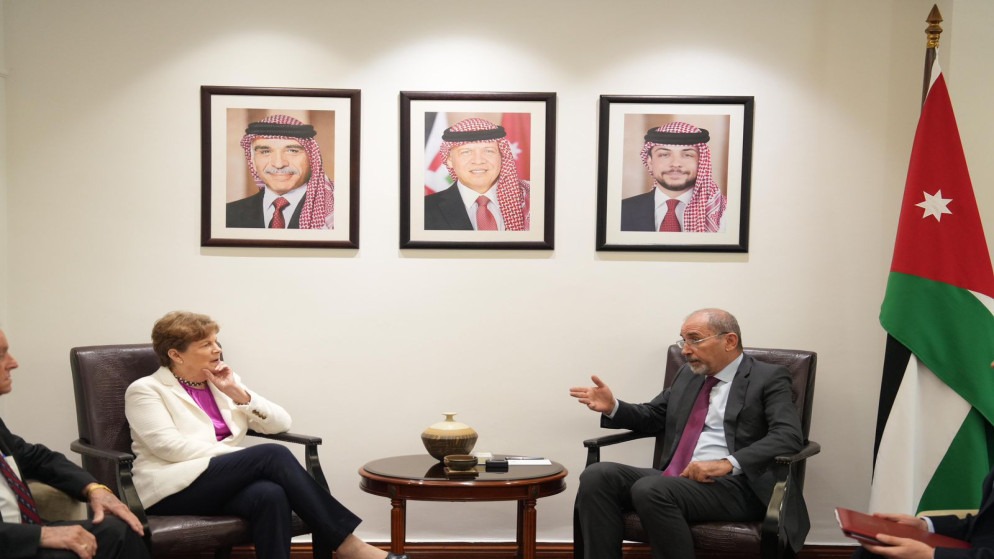 الصفدي يبحث مع شاهين الشراكة والتطورات الإقليمية
