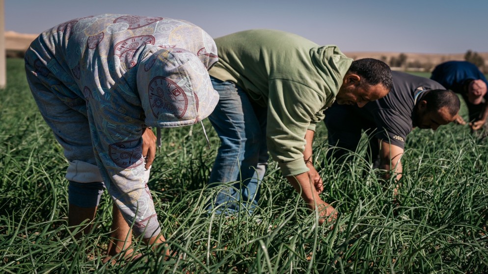 زراعة الأعيان تطلع على جهود مؤسسة الغذاء والدواء