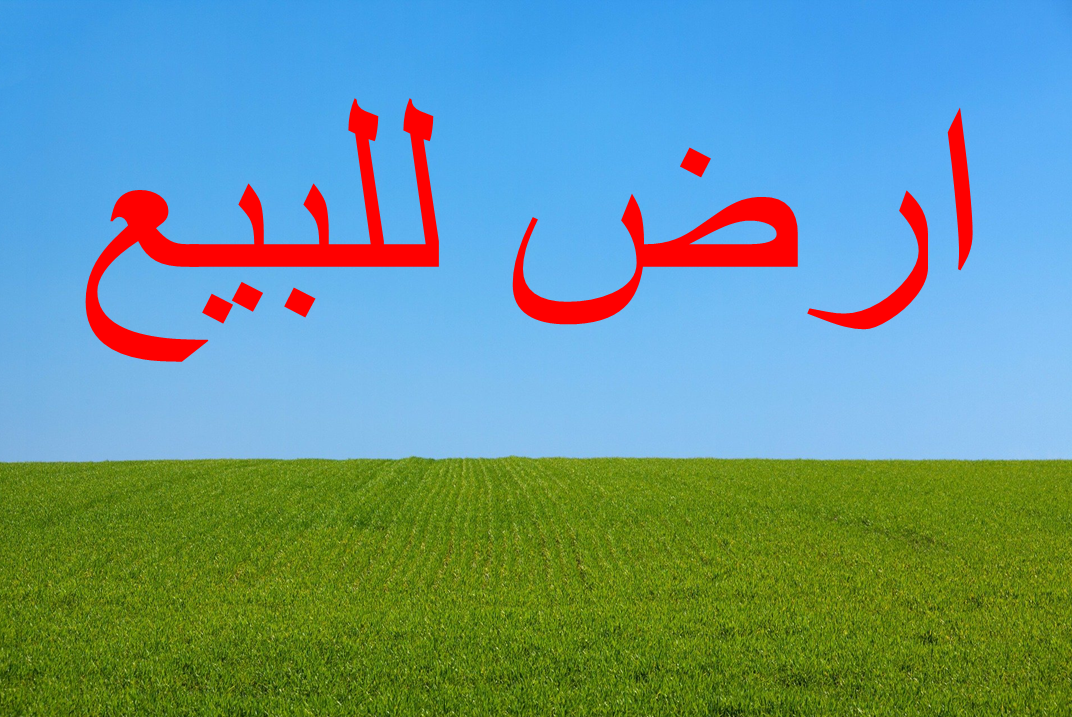 أملاك الدولة" توصي بـ"بيع أرض" والعسعس"يرفض"