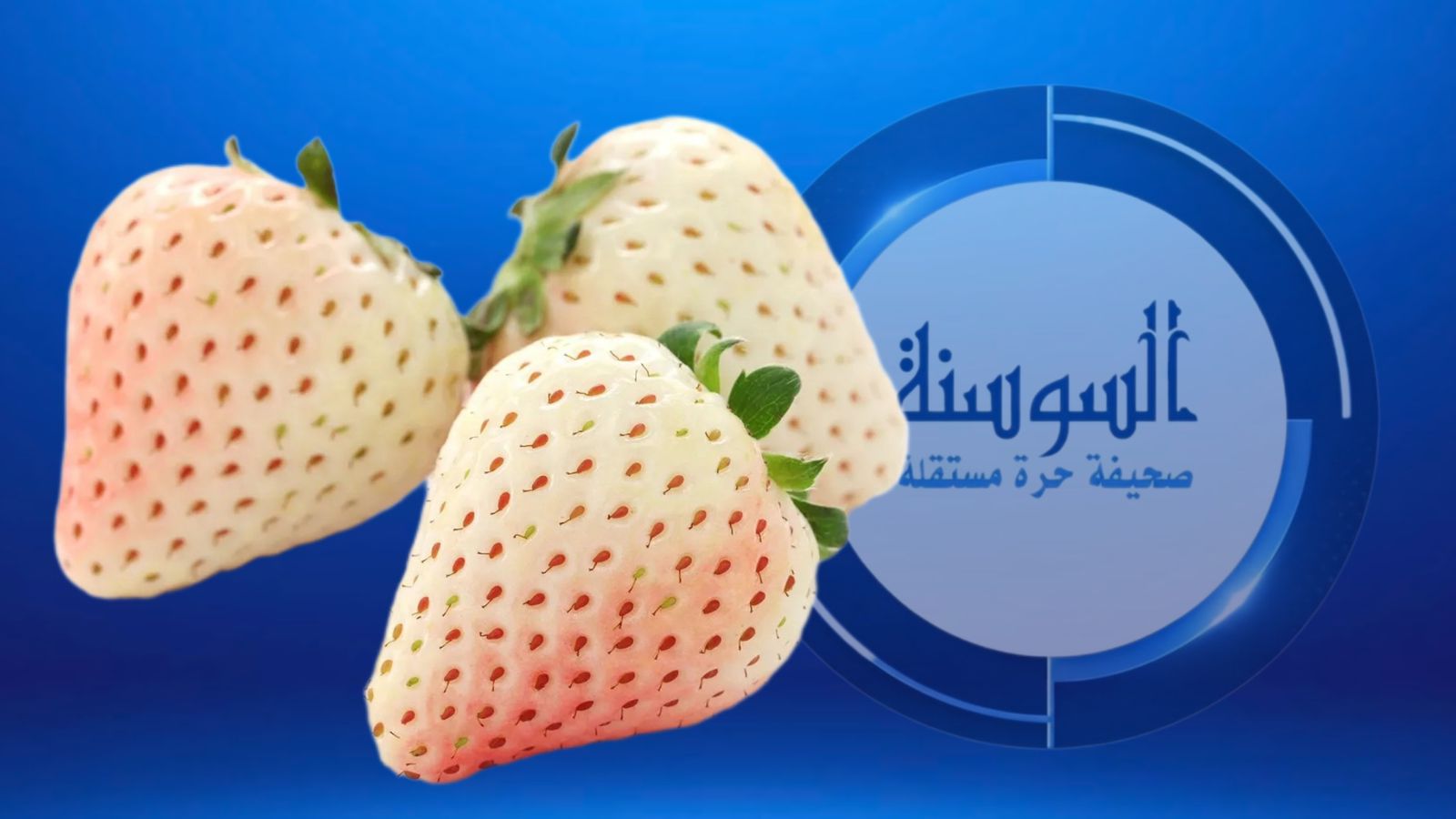 تعديل وراثي يحول الفراولة إلى اللون الأبيض 