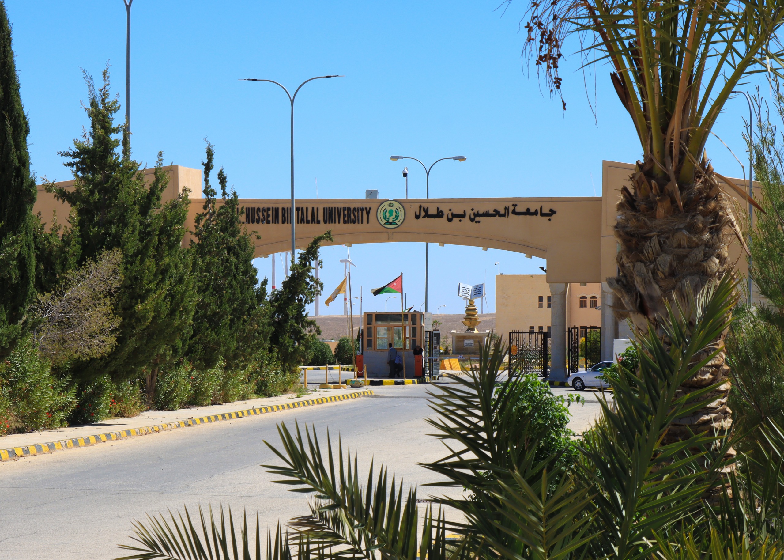 جامعة الحسين تدرس ظاهرة انتشار الذباب بمعان