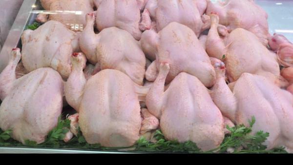 الصناعة والتجارة: ارتفاع ملحوظ في أسعار الدواجن في بعض المناطق